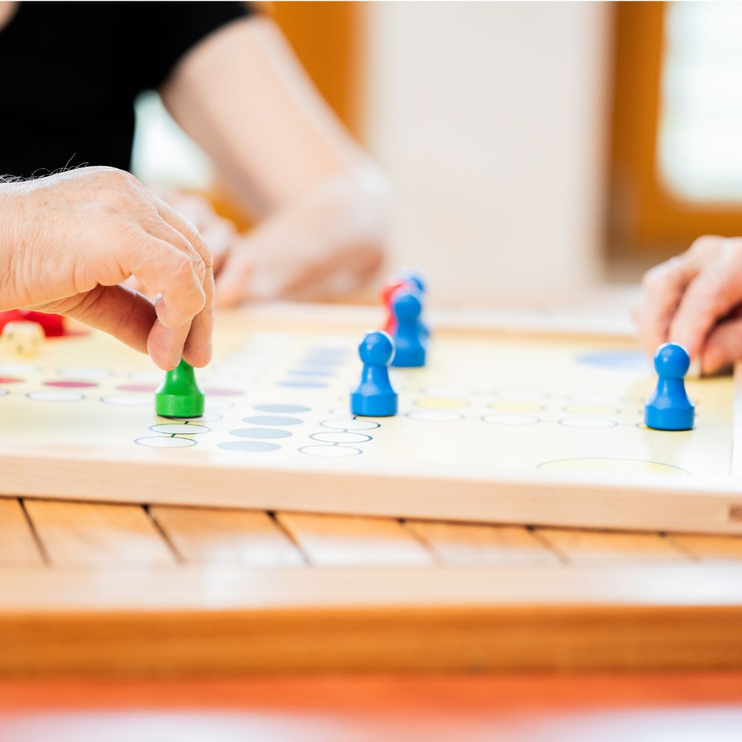 Mensch ärgere dich nicht spielen